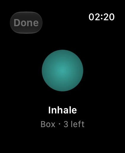 A breathing session on Apple Watch